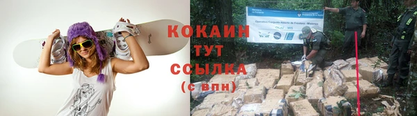 mix Богородицк