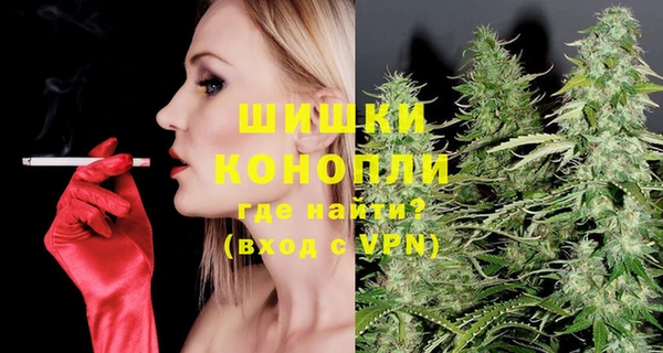 mix Богородицк