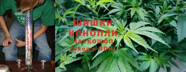mix Богородицк