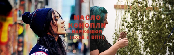 mix Богородицк