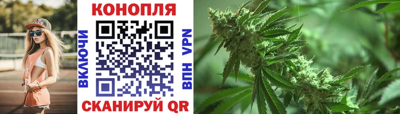 Купить где  Кинель  Шишки марихуана планчик 